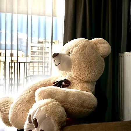 Appartement 4friendscoresibrasov M&l